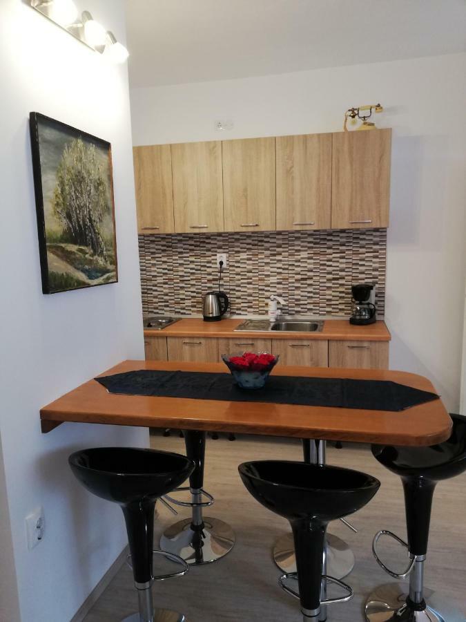 Apartment Nova Zivogosce